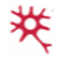 neuron.vc logo