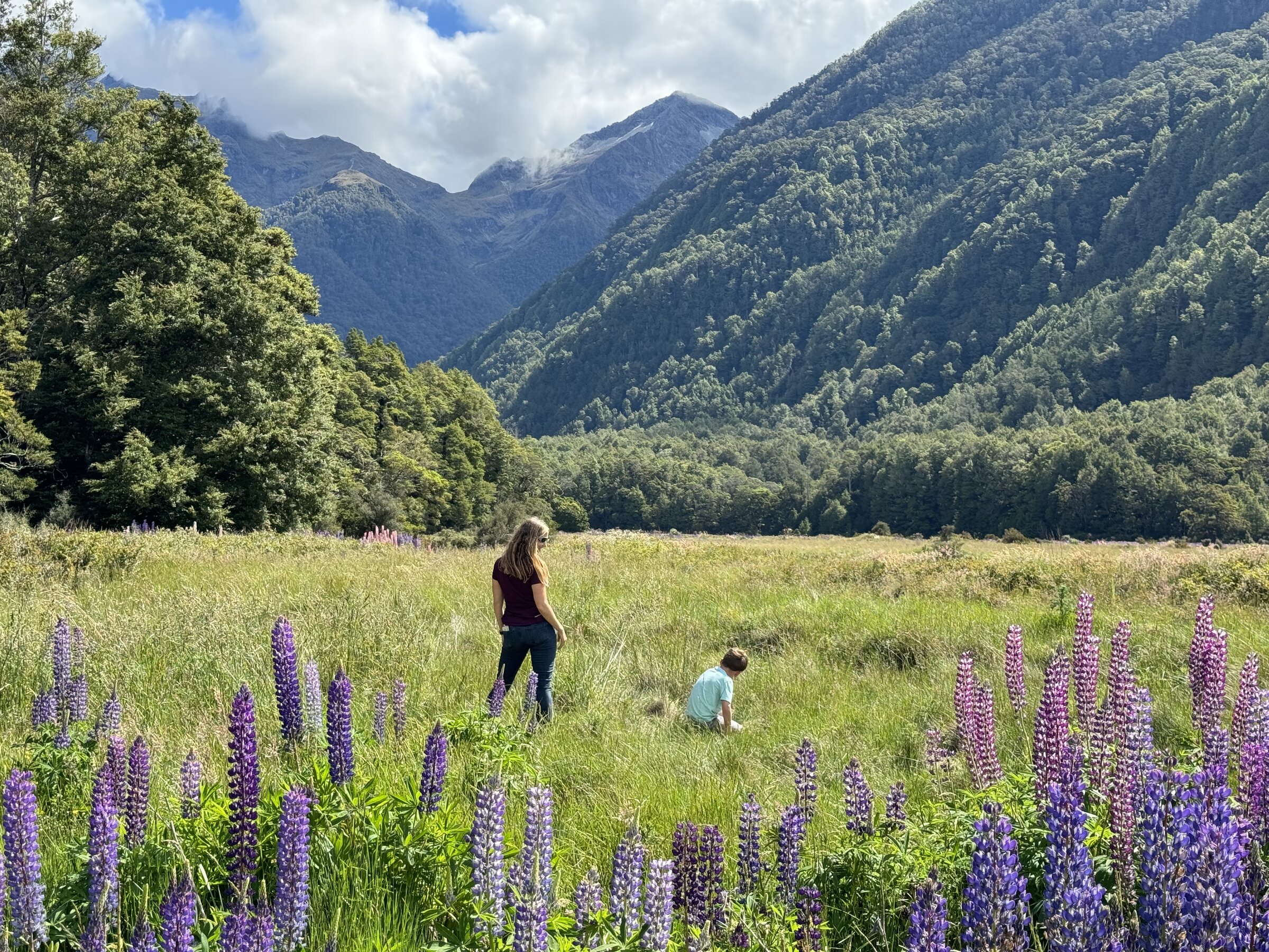 Fiordland, New Zealand - Photo by David E. Weekly