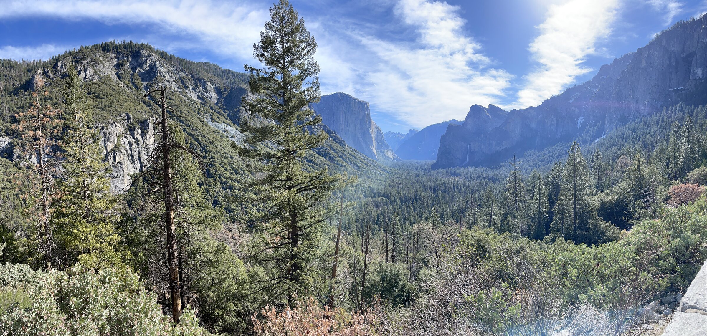 Yosemite, California - Photo by David E. Weekly